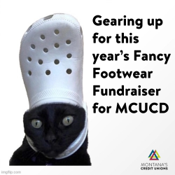 Fancy Footwear Fundraiser