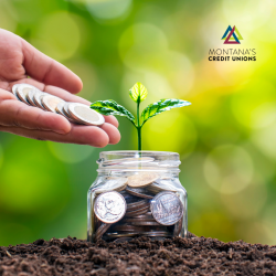 Investing for Beginners