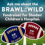 Ask me about the Brawl of the Wild