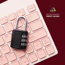 How to I avoid phishing and online fraud
