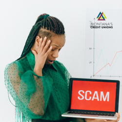 scams and fraud targeting young adults