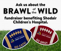 Brawl of the Wild 2026